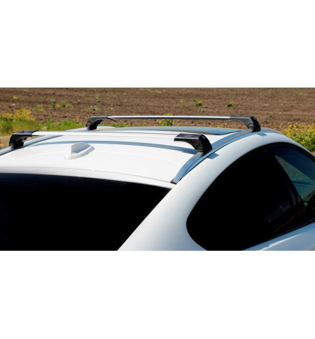 Багажник ERKUL на BMW X5 2007—2013 Арт. 02.SKY.04.07.V2.G в Ульяновске